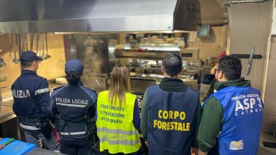 VIDEO | Gamberi “tarocchi”, cucine da incubo e maxi sanzioni: il blitz della Polizia alla Pescheria di Catania