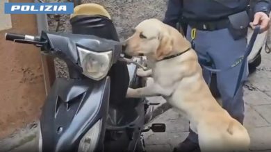 VIDEO | Blitz della Polizia a San Cristoforo: sequestrate armi, cocaina e crack