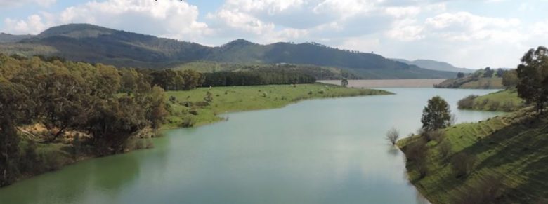 Neanche Harry ha la bacchetta magica per la siccità: negli invasi siciliani la riserva cresce ma resta modesta