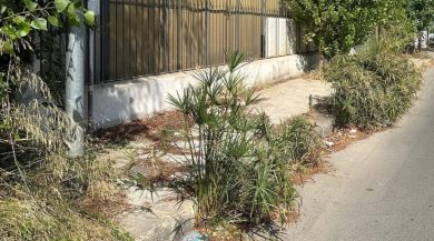 Diserbi a Palermo, Comune pronto ad affidare servizio ai privati: perplessità sul futuro della Reset