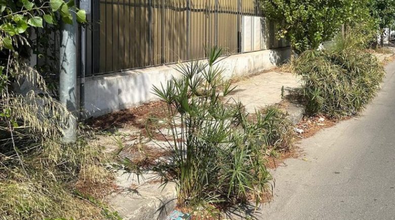 Diserbi a Palermo, Comune pronto ad affidare servizio ai privati: perplessità sul futuro della Reset