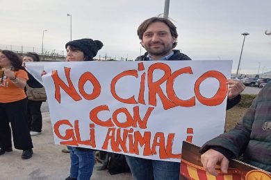 VIDEO | Sit-in a Palermo davanti al circo. Ferrandelli: “No allo sfruttamento degli animali”