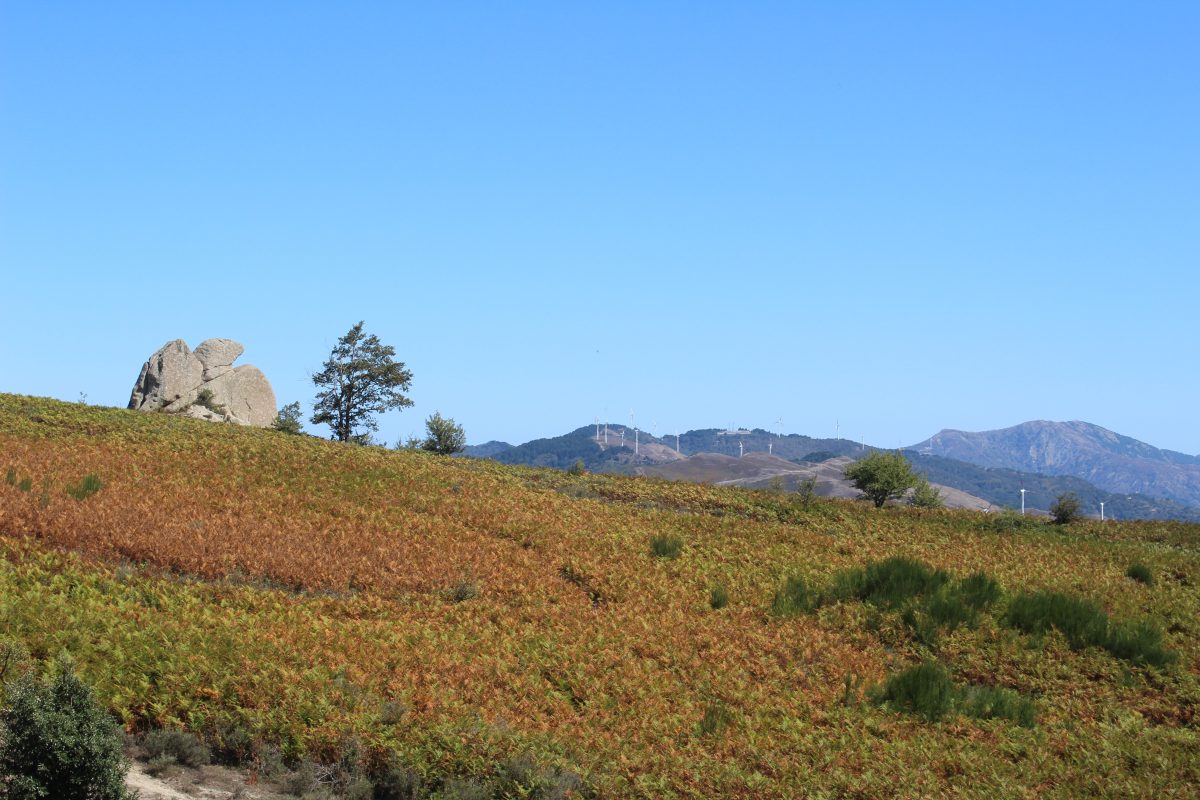 FOTO | La mappa dei cammini che uniscono la Sicilia: lo slow tourism trionfa