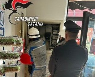 Furto di energia elettrica e carenze igieniche, denunce e sanzioni nel Catanese