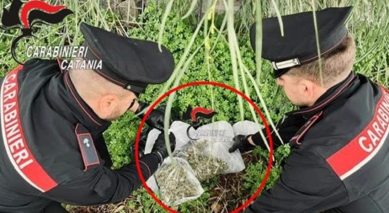 Maxi sequestro di droga a Librino: scovato un kg di marijuana