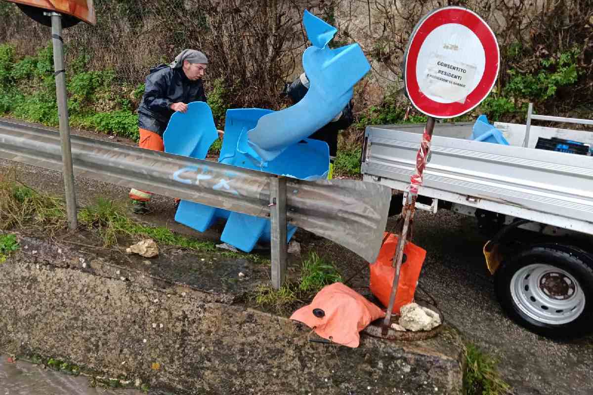 Maltempo in Sicilia: ancora disagi per alberi caduti, forte vento e mareggiate | FOTO