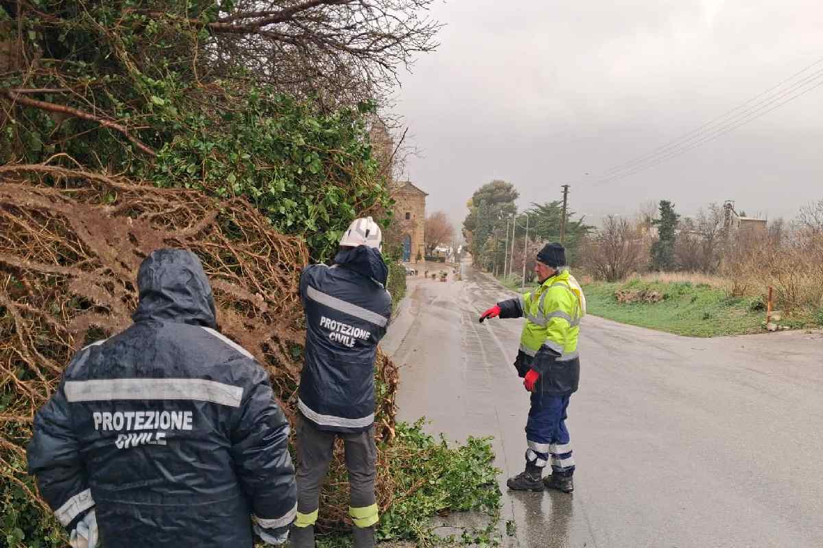 Maltempo in Sicilia: ancora disagi per alberi caduti, forte vento e mareggiate | FOTO