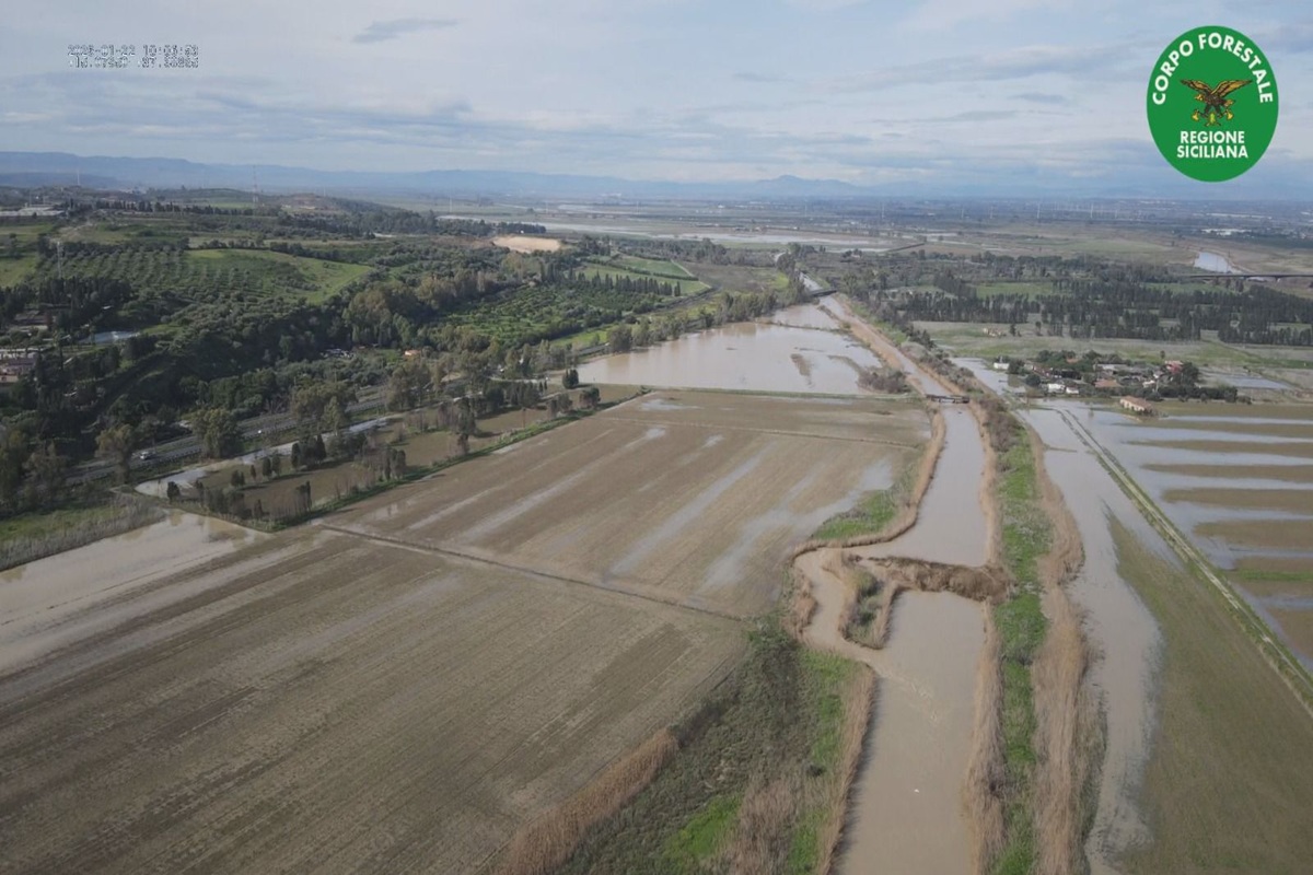 VIDEO | Maltempo, ecco com’è la zona del fiume Simeto dopo il ciclone Harry: il sopralluogo della Forestale VIDEO | Maltempo, ecco com’è la zona del fiume Simeto dopo il ciclone Harry: il sopralluogo della Forestale