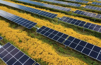 Autorizzazioni ambientali in Sicilia, “miracolo” o crollo? Sì a progetti per 7 miliardi, l’anno prima erano 65