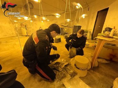 VIDEO| Serra indoor in villa e furto di energia da 300mila euro: arrestato 40enne nel Palermitano