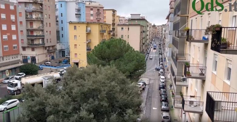FOTO e VIDEO| Alberi caduti e pali divelti, Caltanissetta messa in ginocchio dal forte vento