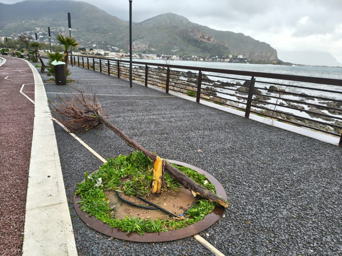FOTO e VIDEO | A Palermo c’è la conta dei danni dopo il ciclone “Harry”: Arenella e Mondello devastate dalle mareggiate