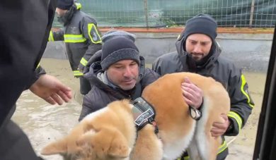 VIDEO | Maltempo a Catania, allagamenti all’Oasi del Simeto