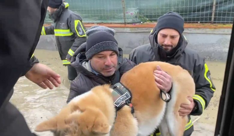 VIDEO | Maltempo a Catania, allagamenti all’Oasi del Simeto