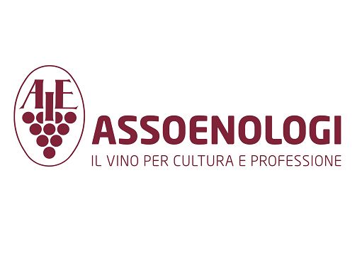 Assoenologi nuovo partner ufficiale del programma Wine in Moderation