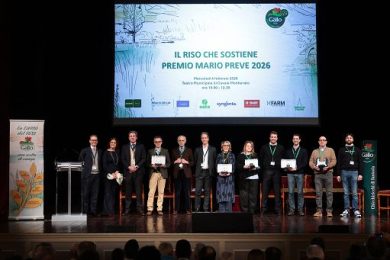 La sostenibilità come investimento: Riso Gallo premia gli agricoltori
