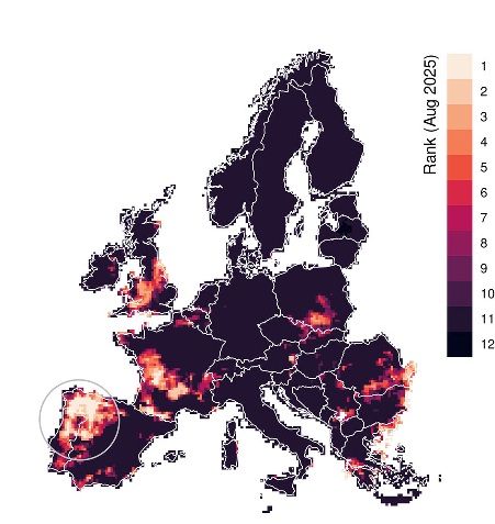 Cnr, incendi estremi estate 2025: studio rivela fattori scatenanti