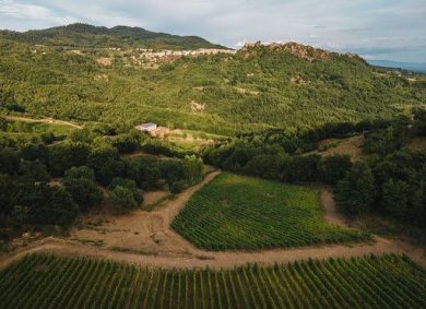 Ampeleia, nuovi nomi e identità visiva per Cantina dell’Alta Maremma