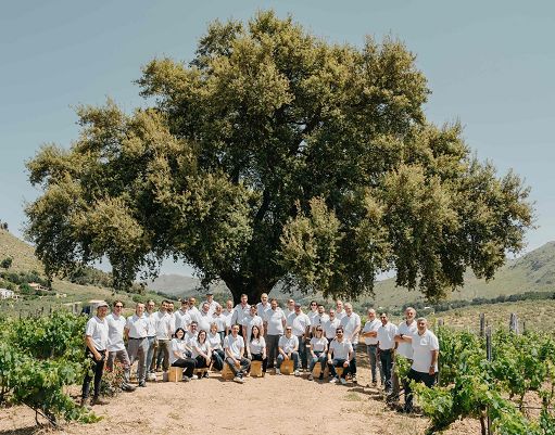 ”Il vino non conosce cattive intenzioni”: il claim di Baglio di Pianetto