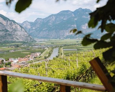 Vino, “Vinifera” si rinnova e il 21 e 22 marzo diventa “FuoriVinifera”