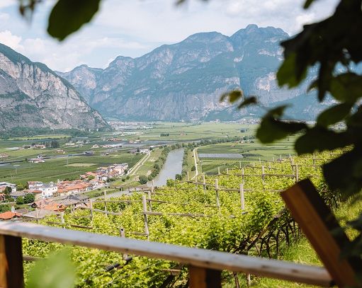 Vino, “Vinifera” si rinnova e il 21 e 22 marzo diventa “FuoriVinifera”