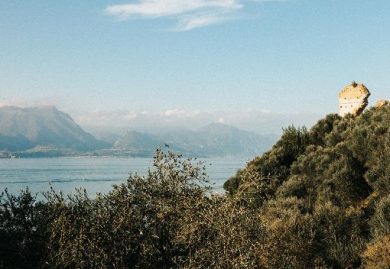 Il Lugana Doc tiene: oltre 27,5 mln di bottiglie e filiera stabile