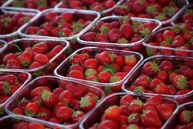 Fragole a San Valentino? Già sul mercato e prezzi -8% su 2025
