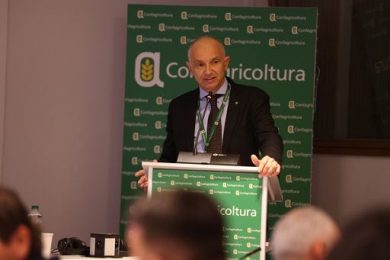 Confagri: Dll Bollette, rischio è cancallare le biomasse