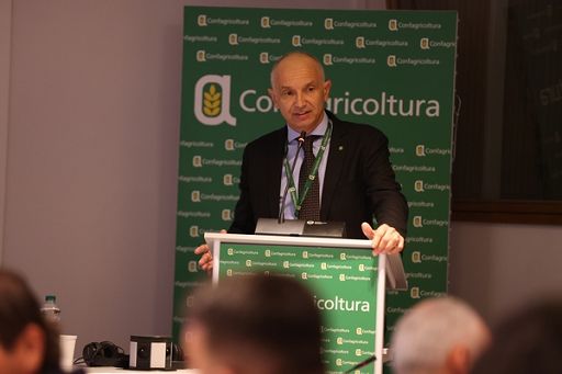 Confagri: Dll Bollette, rischio è cancallare le biomasse