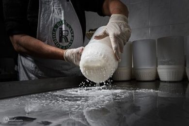 Riparte progetto ROB-IN del Consorzio tutela Roccaverano Dop