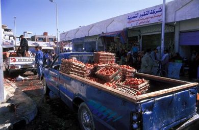 Pomodoro, Anicav: in II sem 2025 +86% export Egitto verso Ue