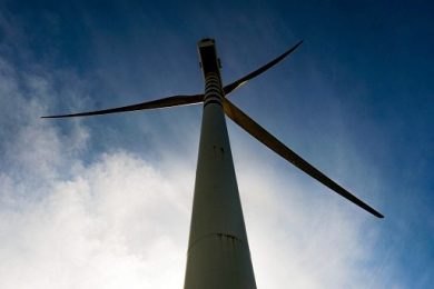 Bce: in Italia dilatazione tempi riduce partecipanti a aste eolico