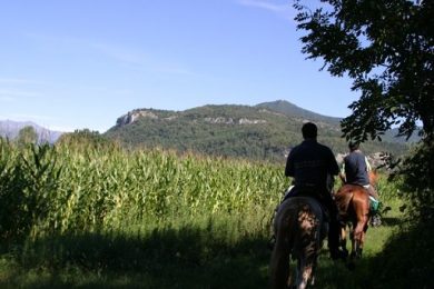 Federcaccia: Pdl su carne equina nuovo attacco alla ruralità