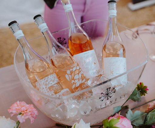 Consorzio Valtènesi: promozione, territorio e cultura del rosé