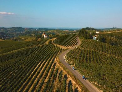 Vino, tre Consorzi del Monferrato siglano piano triennale per il futuro
