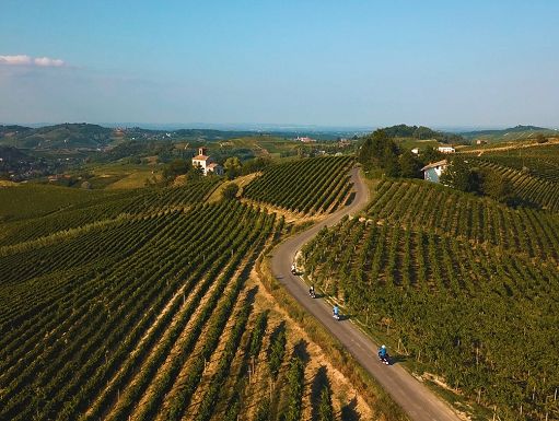 Vino, tre Consorzi del Monferrato siglano piano triennale per il futuro