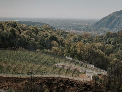 Taste Alto Piemonte: 9 marzo a Milano 10 Denominazioni e 33 produttori