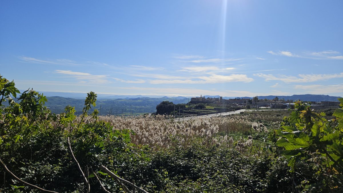 FOTO e VIDEO – Adrano, micro discariche abusive in via IV Novembre. Ancora rifiuti abbandonati davanti alle case popolari