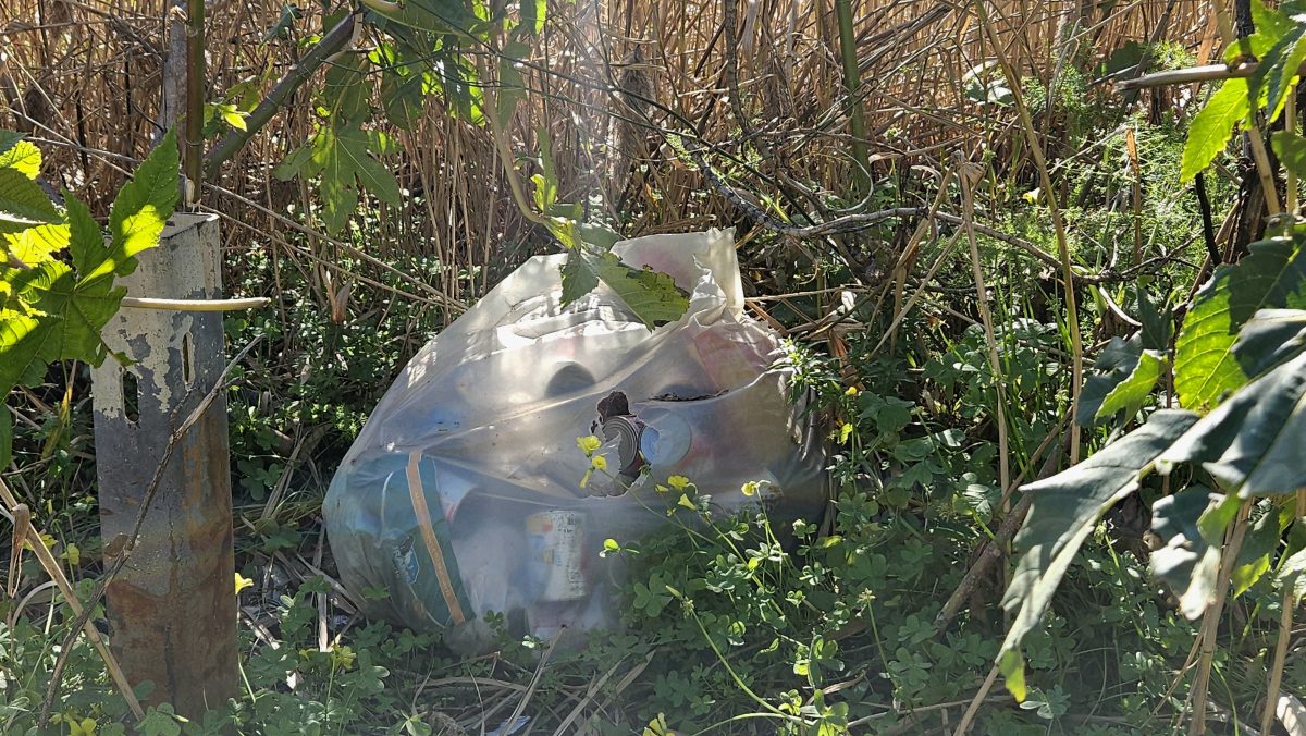 FOTO e VIDEO – Adrano, micro discariche abusive in via IV Novembre. Ancora rifiuti abbandonati davanti alle case popolari