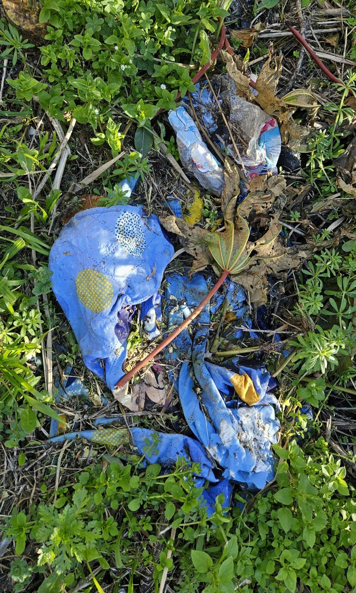 FOTO e VIDEO – Adrano, micro discariche abusive in via IV Novembre. Ancora rifiuti abbandonati davanti alle case popolari