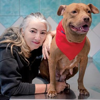 La vet Monica Pais: Sterilizzare è la scelta giusta