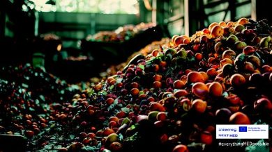 Ambiente: ENEA, nuove soluzioni per la gestione dei rifiuti organici