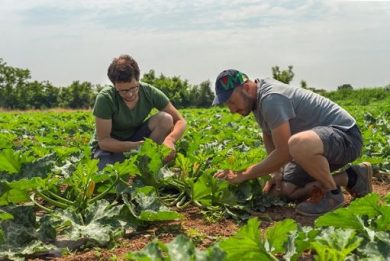 Naturasì lancia nuova campagna su giusto prezzo per agricoltori