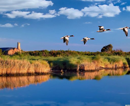 Romeo – Favero (Pd): Cariparo sostenga protagonismo economico e turistico Polesine