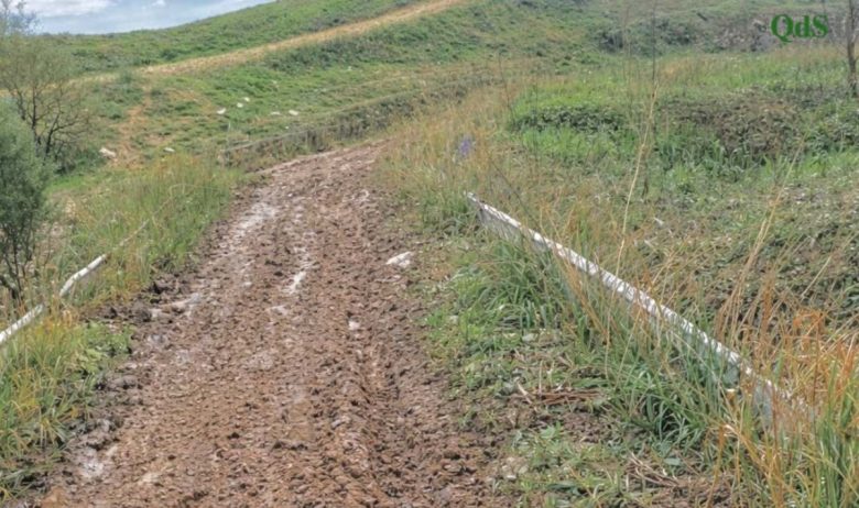 VIDEO | La frana di Niscemi trasforma e mette in ginocchio l’agricoltura: la testimonianza