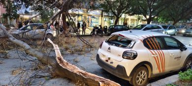 A Palermo il vento fa danni, alberi e pali caduti: oltre 130 gli interventi dei vigili del fuoco