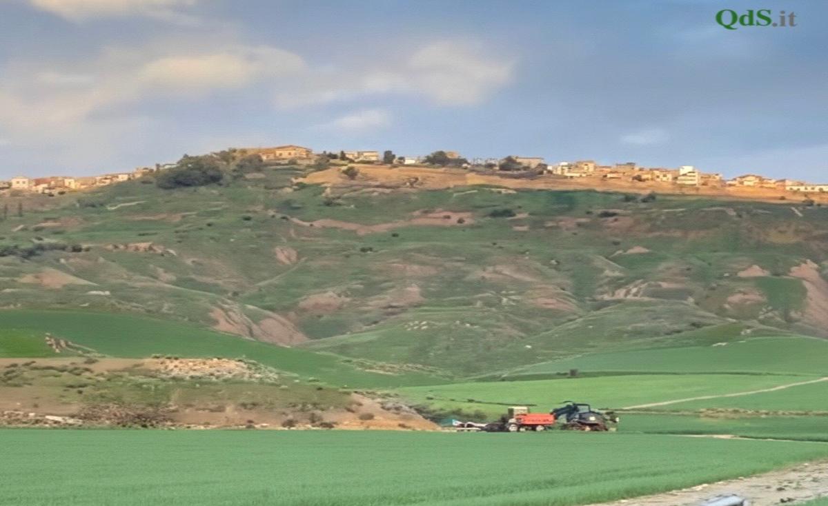 Niscemi, la frana isola le campagne. L’allarme degli agricoltori: “Senza strade e aiuti rischiamo di non farcela”