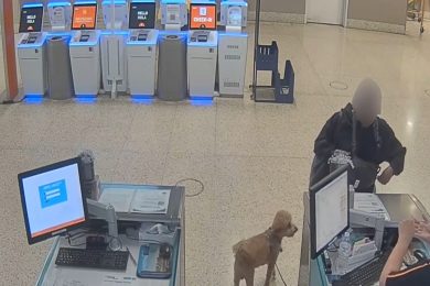 VIDEO | Incredibile in aeroporto, cane abbandonato per non perdere il volo: guai per una donna