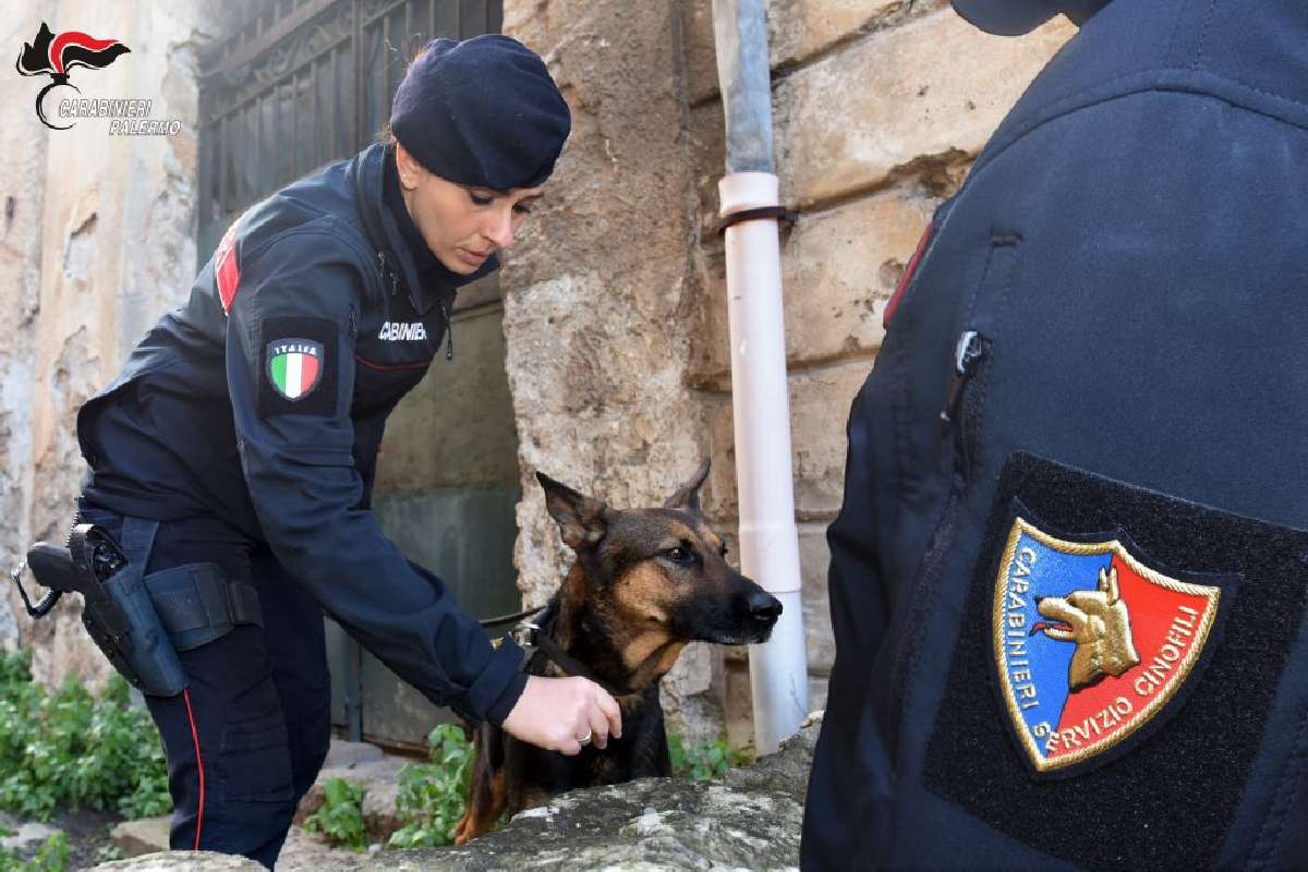 Droga, munizioni e un’arma clandestina: arrestato un giovane, denunciato il fratello a Capaci