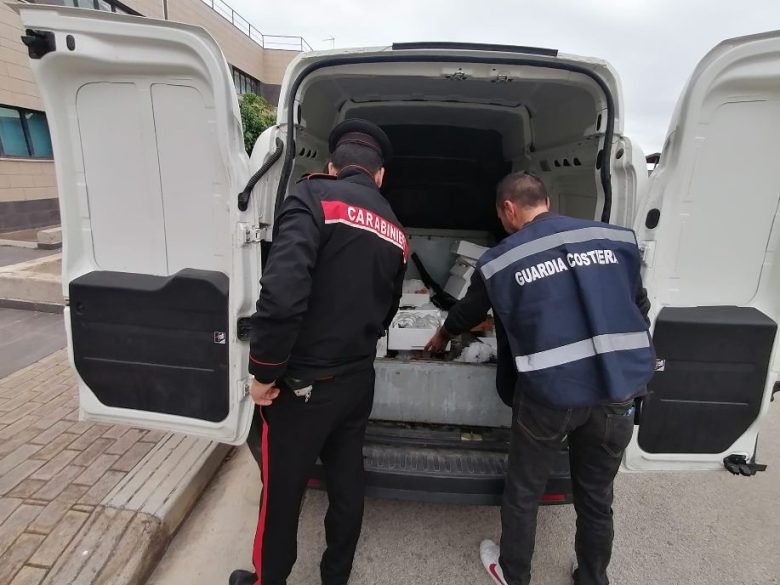 Palermo, blitz in tre pescherie: sequestrati quasi 300 kg di pesce e 3 kg di neonata